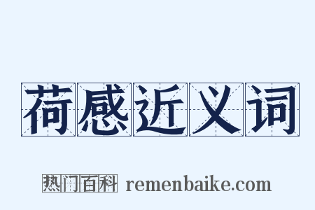 荷感近义词是什么意思的图片